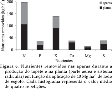 acumulo4 Nutrientes na grama esmeralda