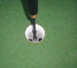 copo-green2 Greens - Intensidade de Cultivo - parte I