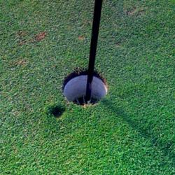 dano-green Greens - Intensidade de Cultivo - parte I