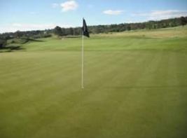 green-band Greens - Intensidade de Cultivo - parte I