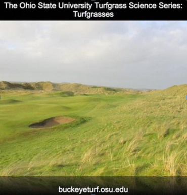 green-ohio Greens - Intensidade de Cultivo - parte I