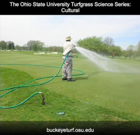 irriga3 Irrigação em campos de golfe