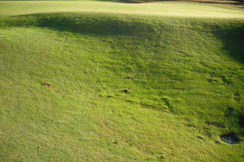 overseeding3 OVERSEEDING: em busca da maior eficiência