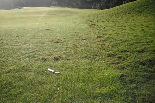 oversseding1 OVERSEEDING: em busca da maior eficiência
