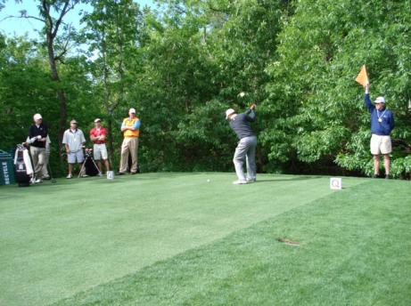 tee1 Tees - Intensidade de Cultivo - parte II