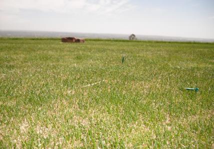 tee6 Tees - Intensidade de Cultivo - parte II