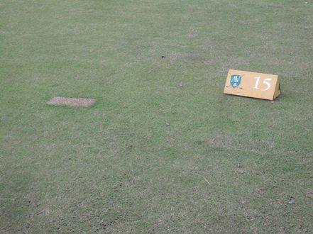 tee7 Tees - Intensidade de Cultivo - parte II